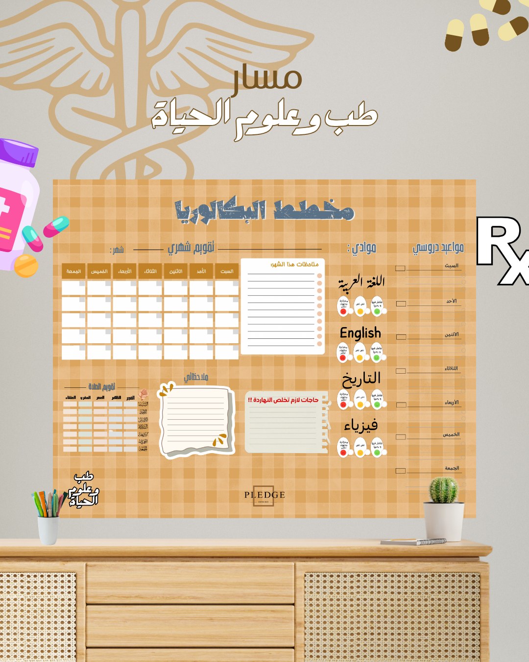 مخطط البكالوريا