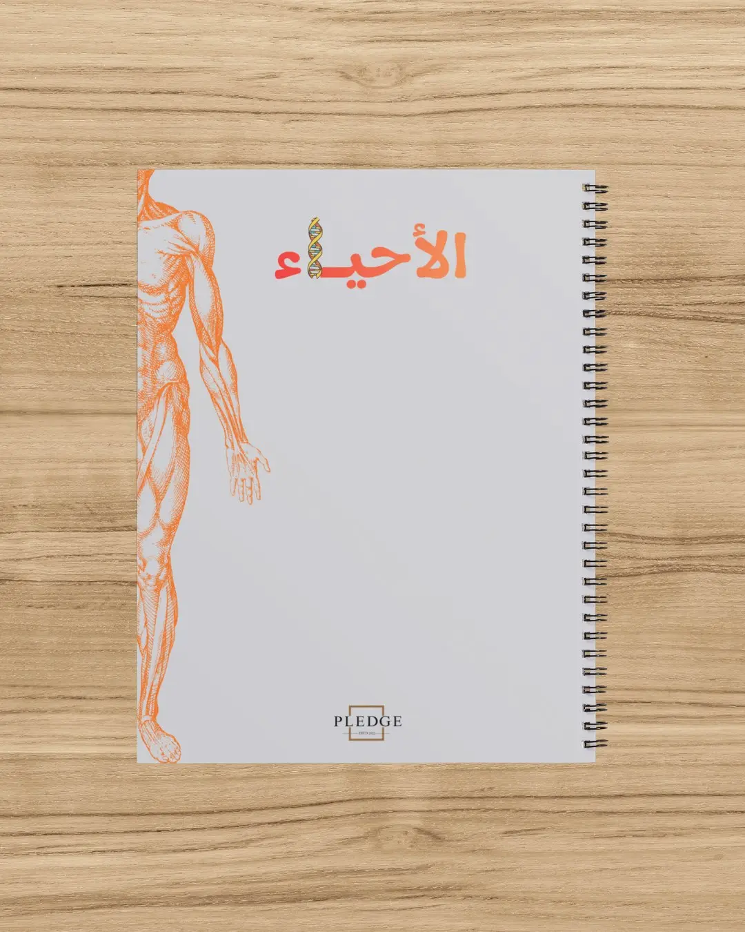 Biology Notebook