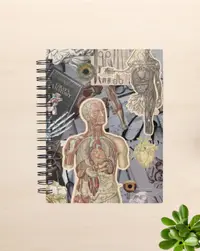 anatomy notebook