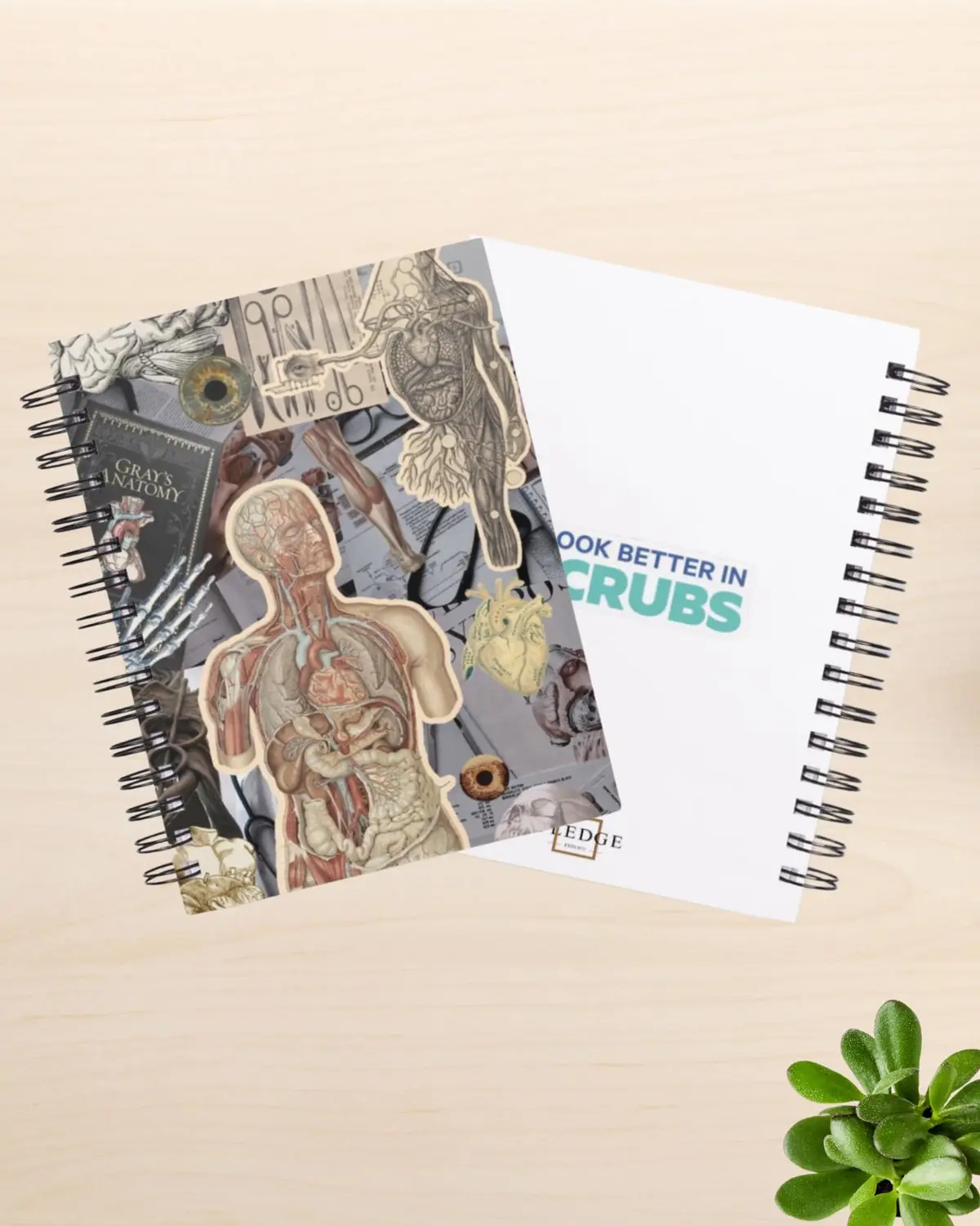 anatomy notebook