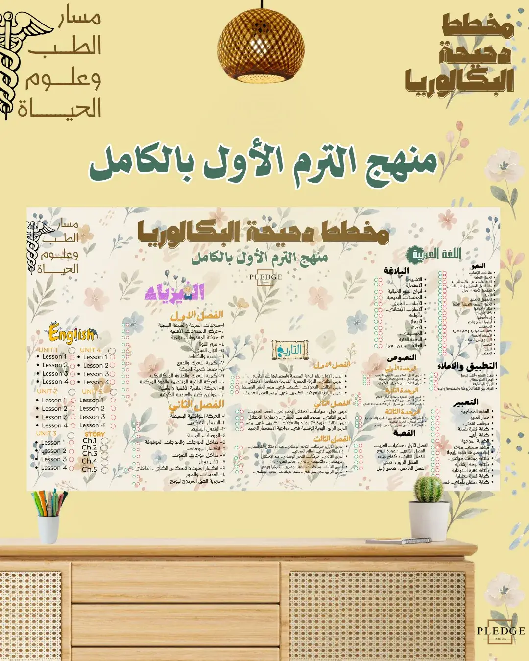مخطط دحيحة البكالوريا
