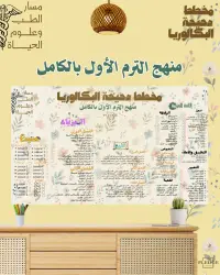 مخطط دحيحة البكالوريا